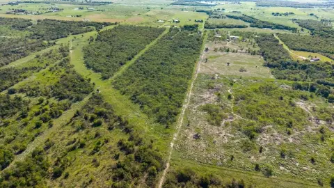 Kaufman, TX: 10.6 Acre Land