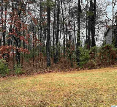 Residential Lot in Centre, AL