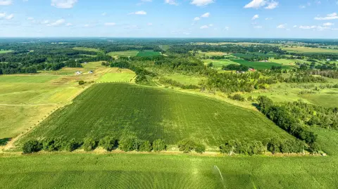 54.75 Acres of Hunting Land