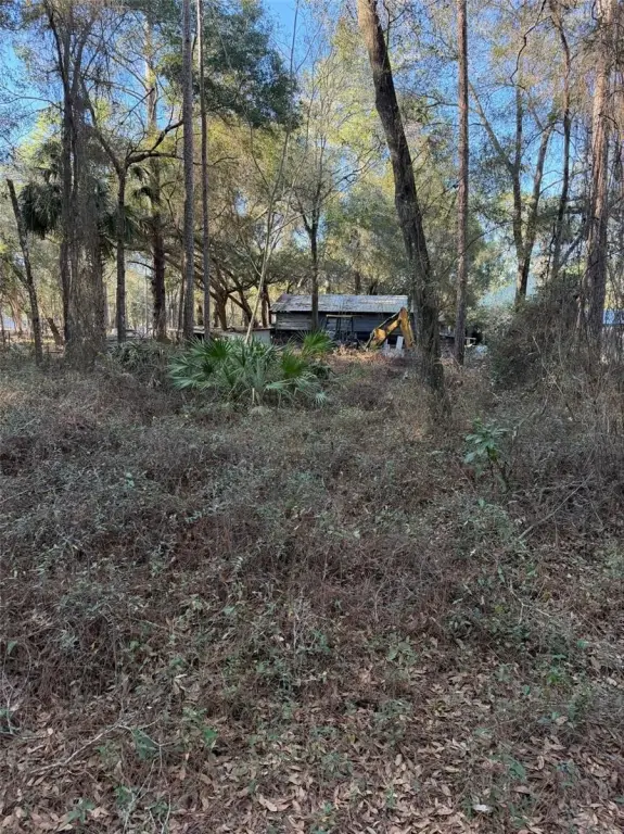 Picture 5