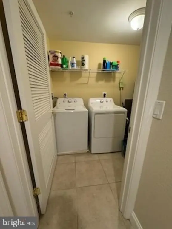 Picture 51