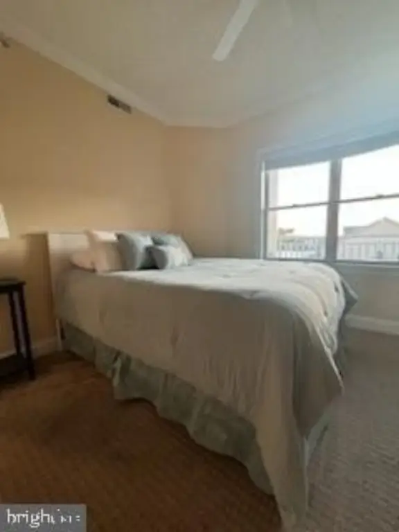 Picture 45