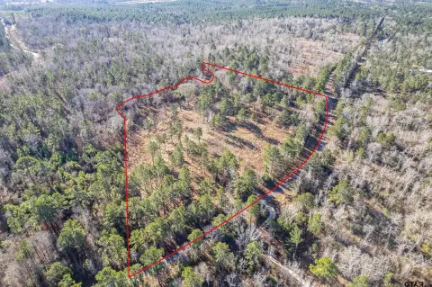 Palestine, TX 10-Acre Property
