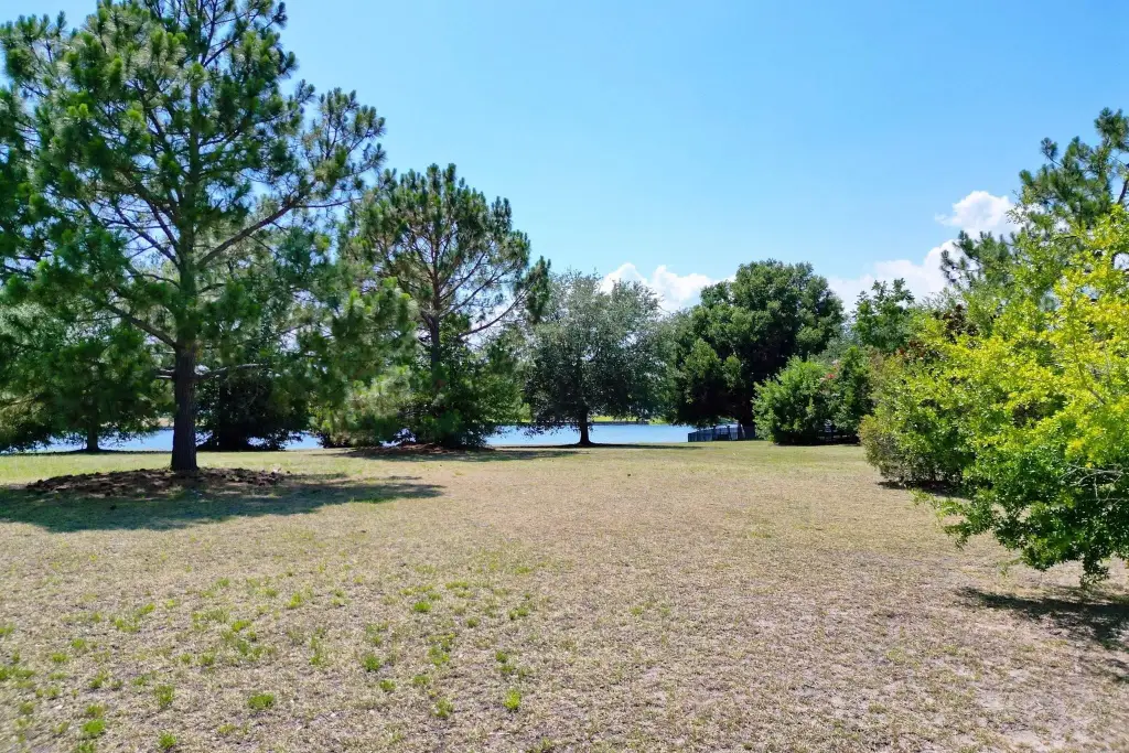 Picture 16