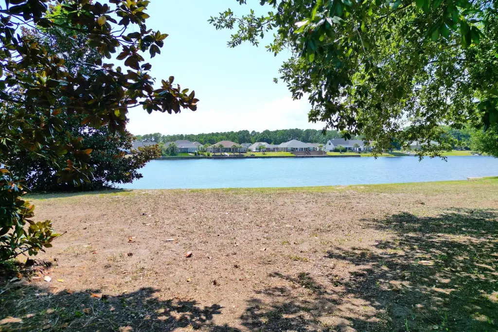 Picture 23