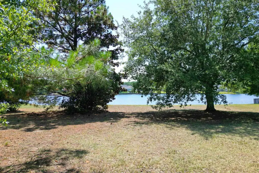 Picture 20
