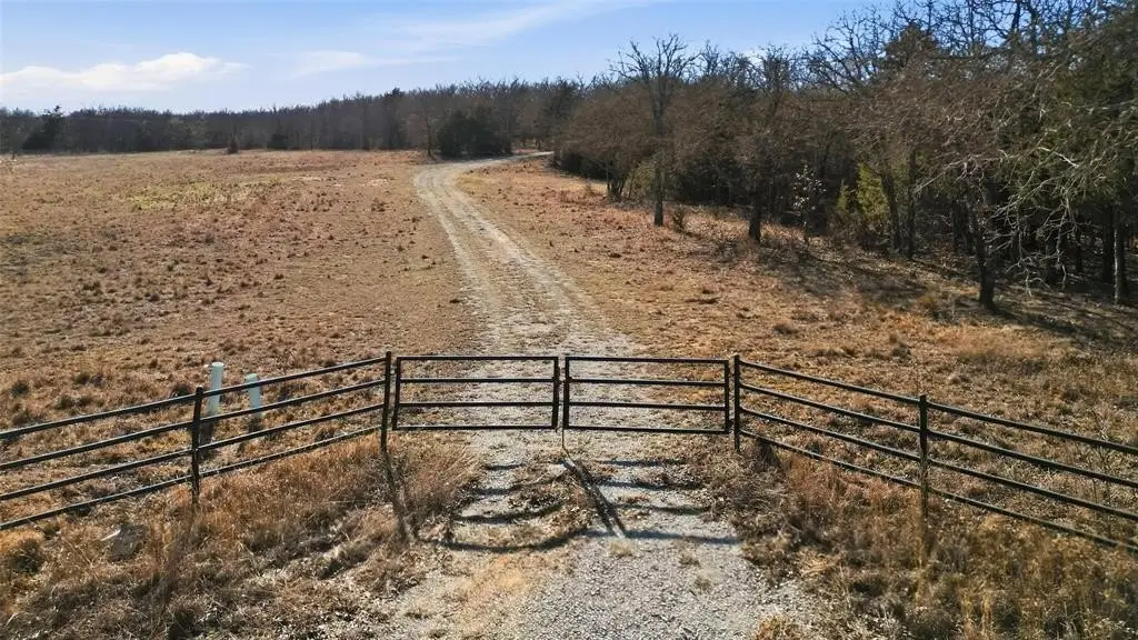 Picture 6