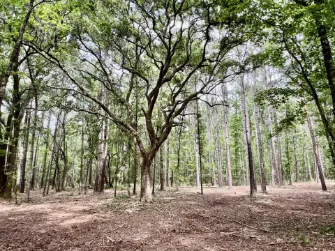 Yemassee Land Bordering Buckfield Plantation
