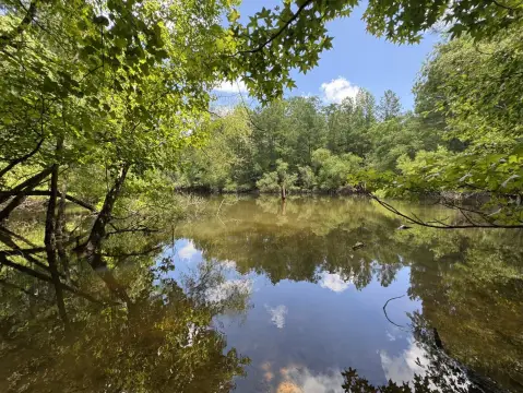 Hunting Land with Pond