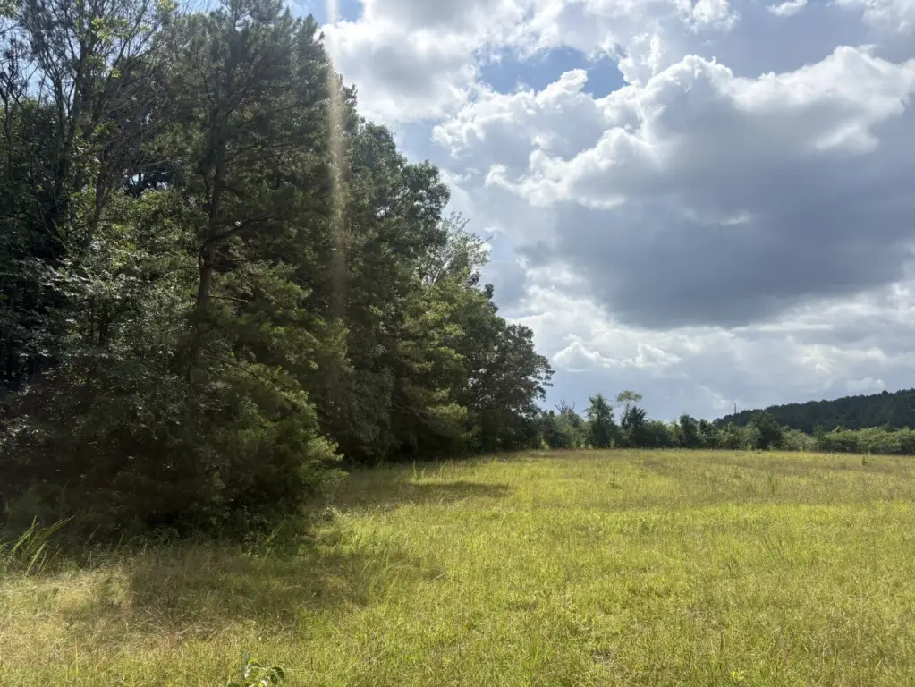 Picture 21