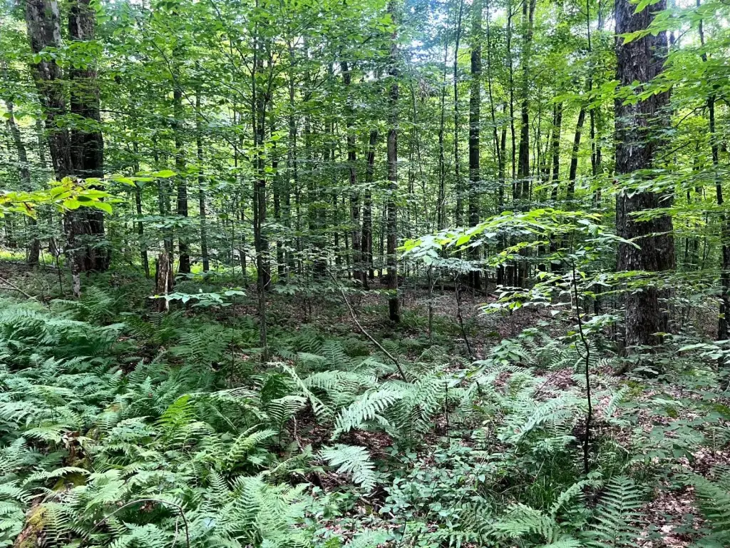 Picture 6