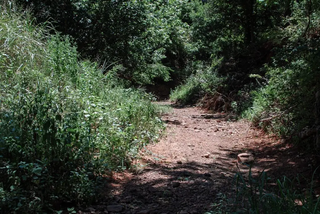 Picture 7