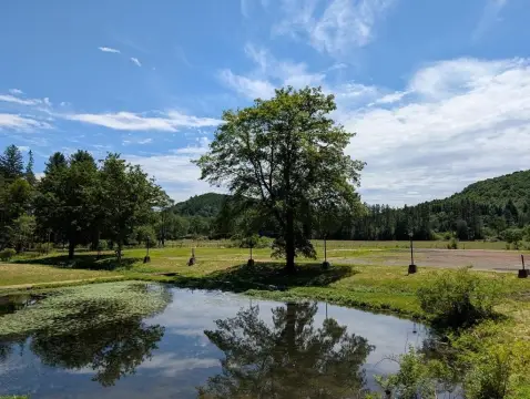 Coudersport Land with Development Potential