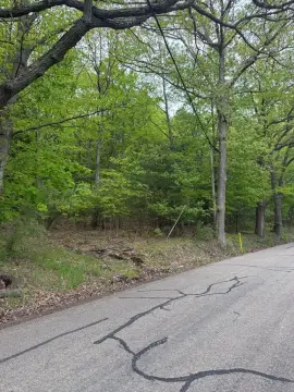 4 Acres of Wooded Land