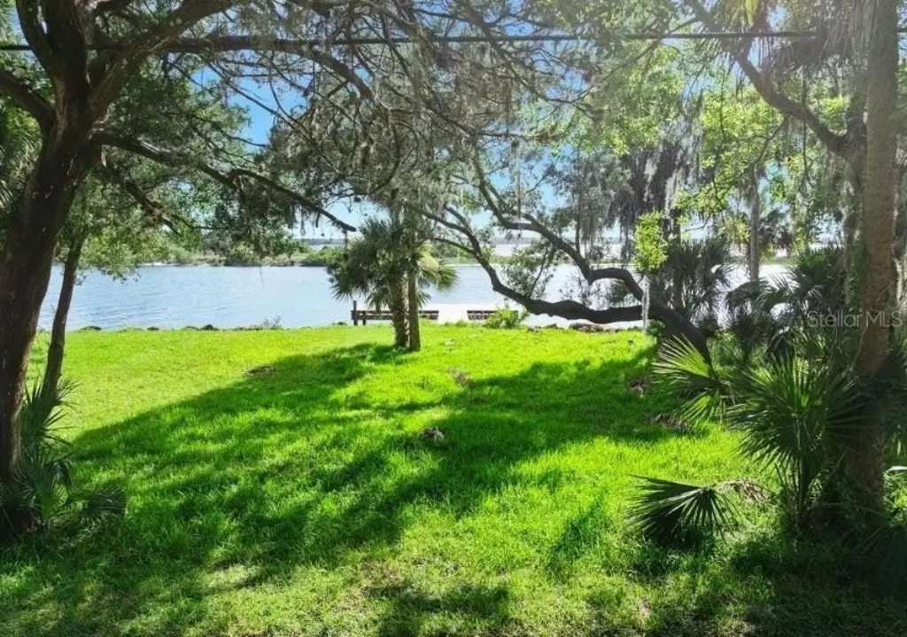 Picture 8