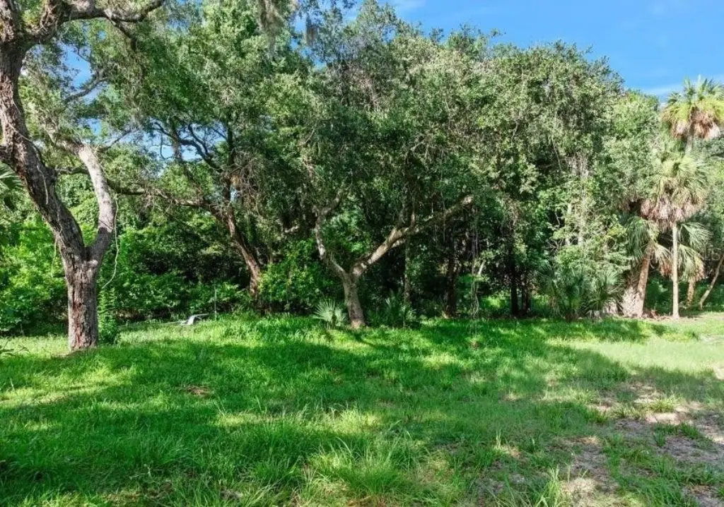 Picture 9