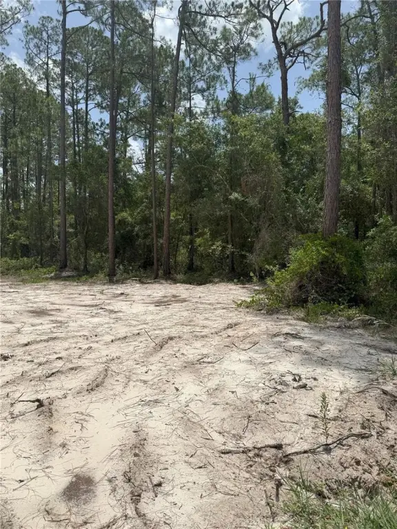 Picture 3
