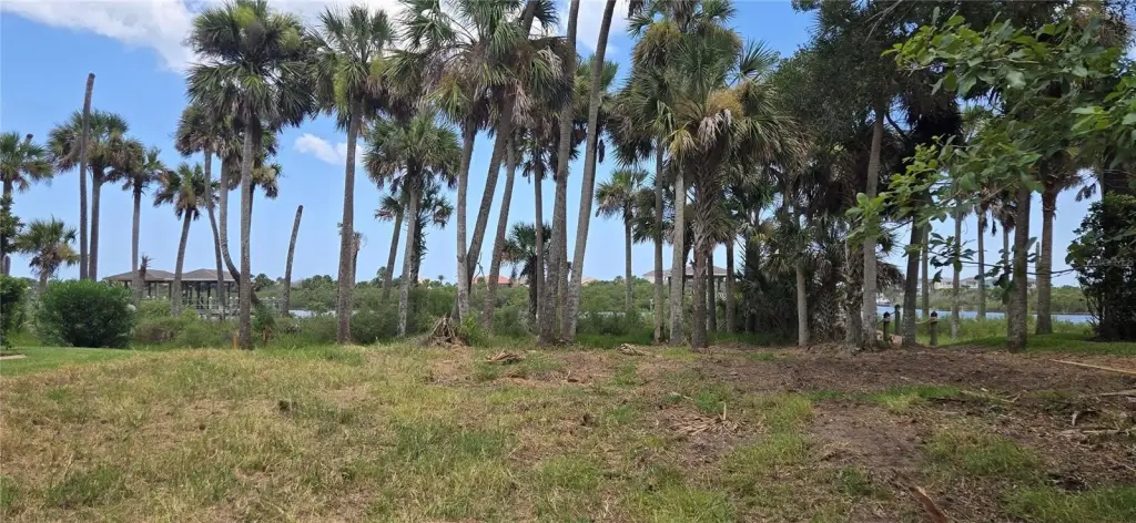 Picture 42