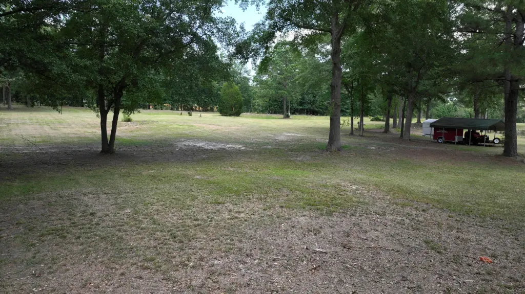 Picture 9