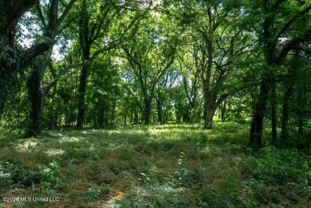 Picture 26
