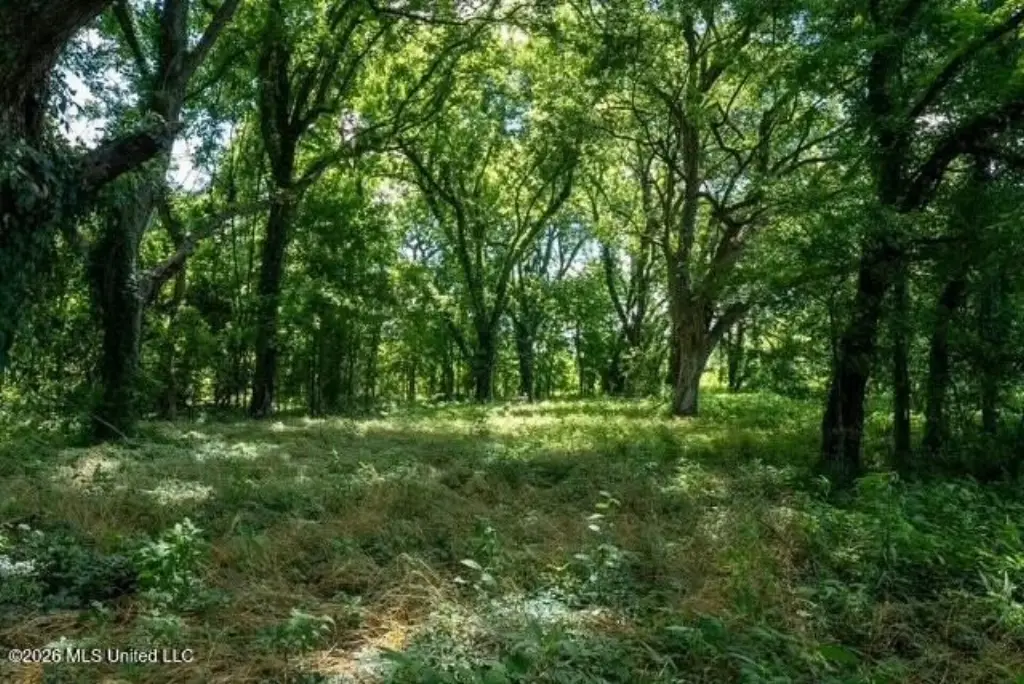 Picture 46