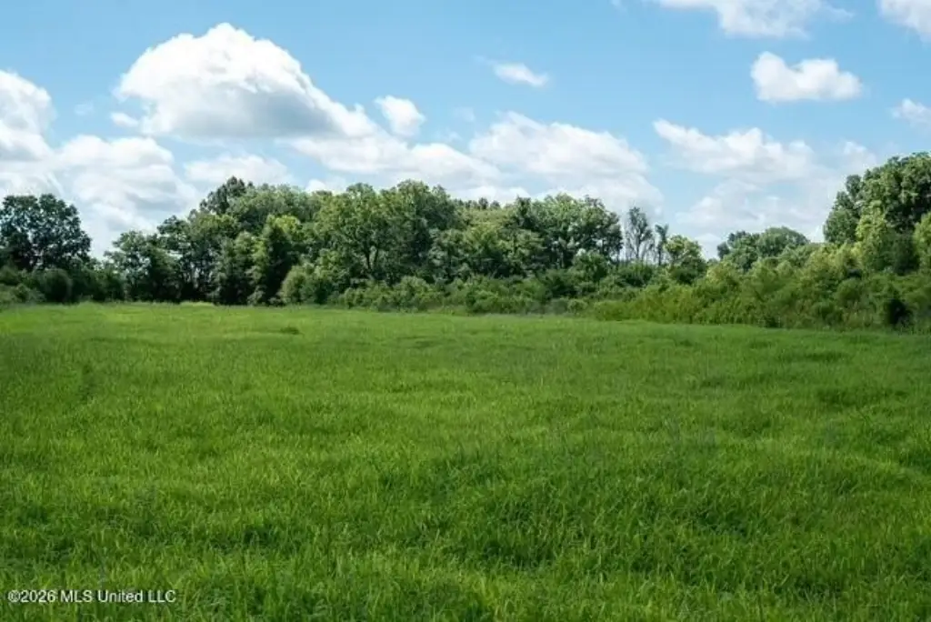 Picture 18