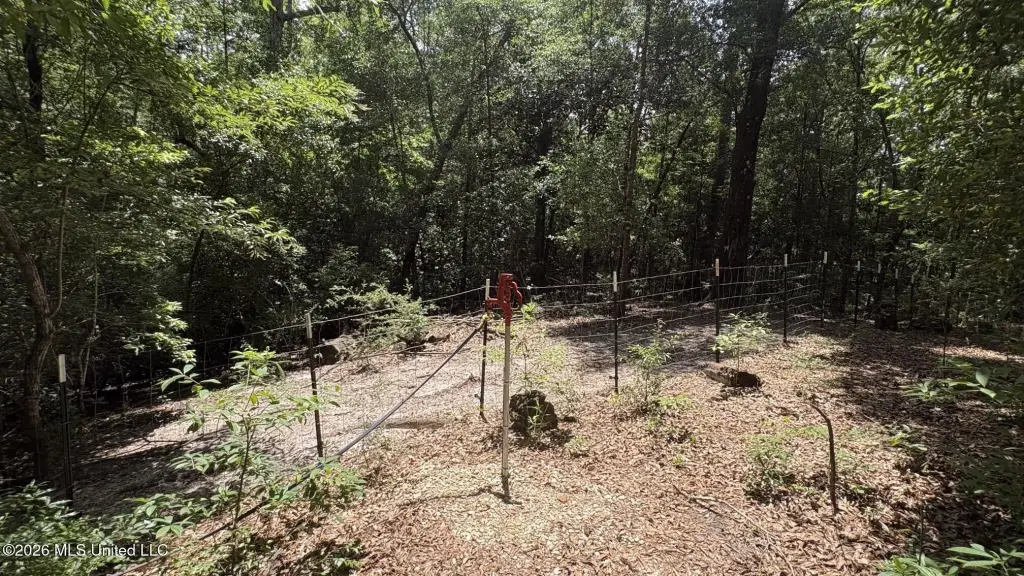 Picture 15