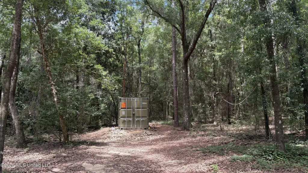 Picture 5