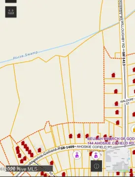Versatile Land Tract in Ahoskie