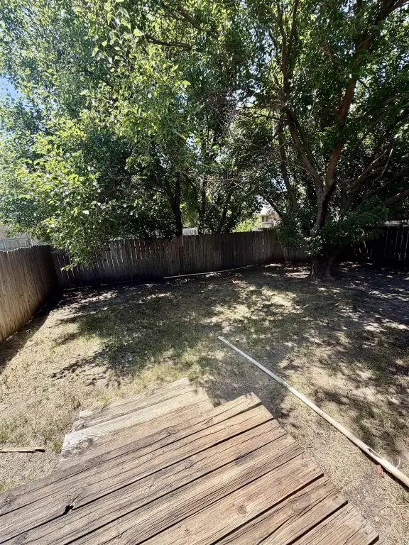 Picture 20