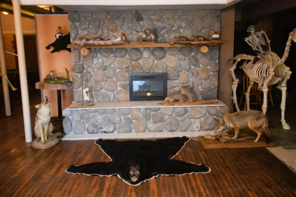 Picture 5