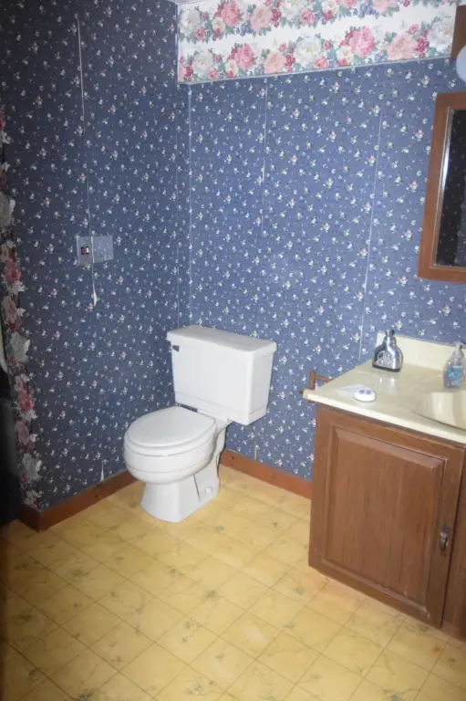 Picture 31
