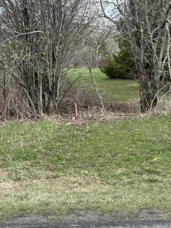 Picture 12