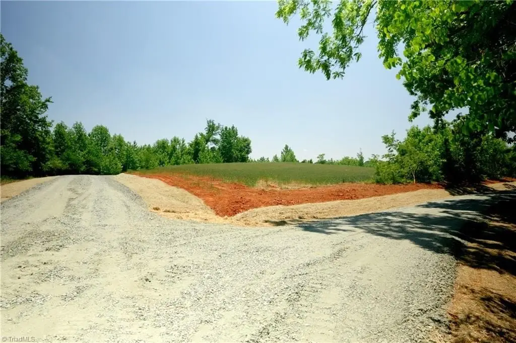 Picture 4