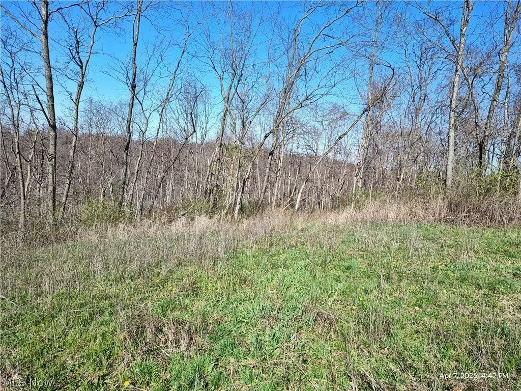 Picture 15