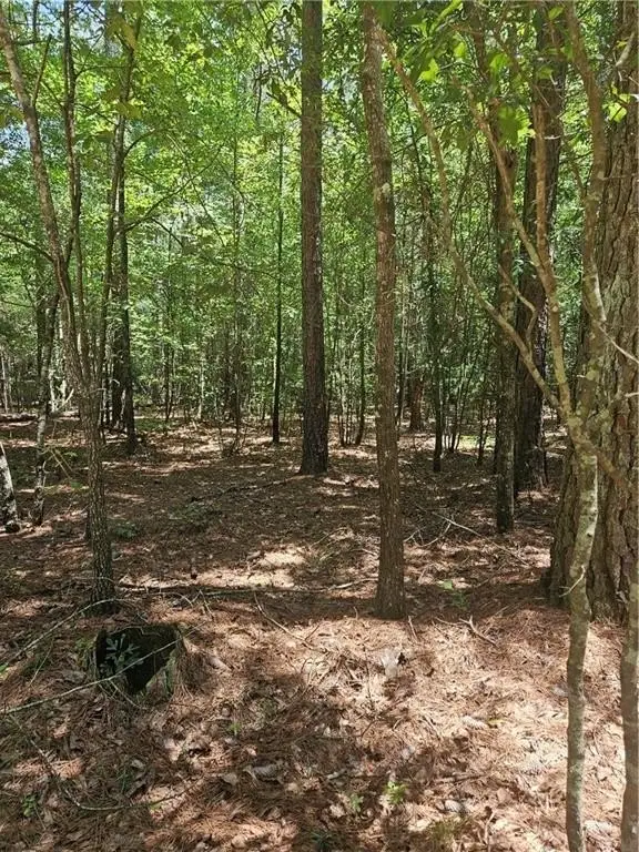 Picture 14