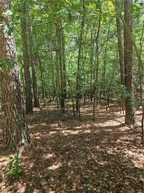 Picture 10