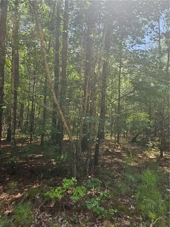 Picture 8