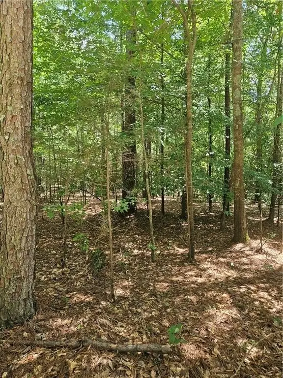 Picture 18