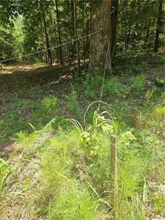 Picture 20