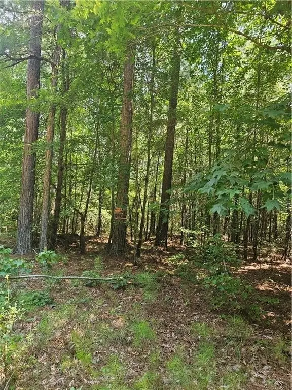Picture 19