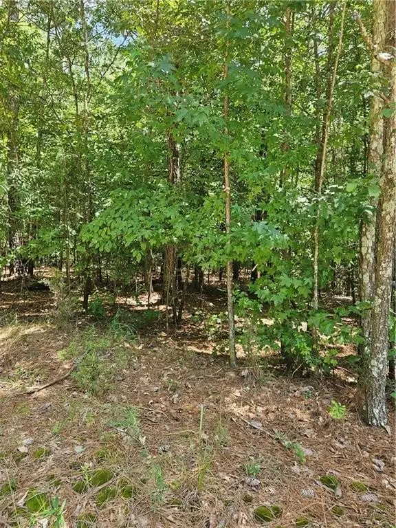 Picture 17