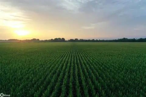 Prime Farmland Auction in Iowa