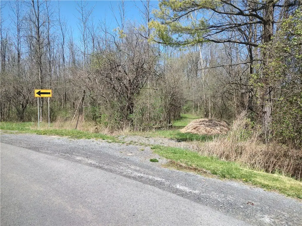 Picture 3