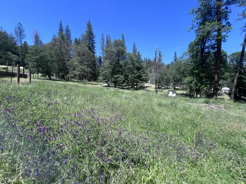 Picture 29