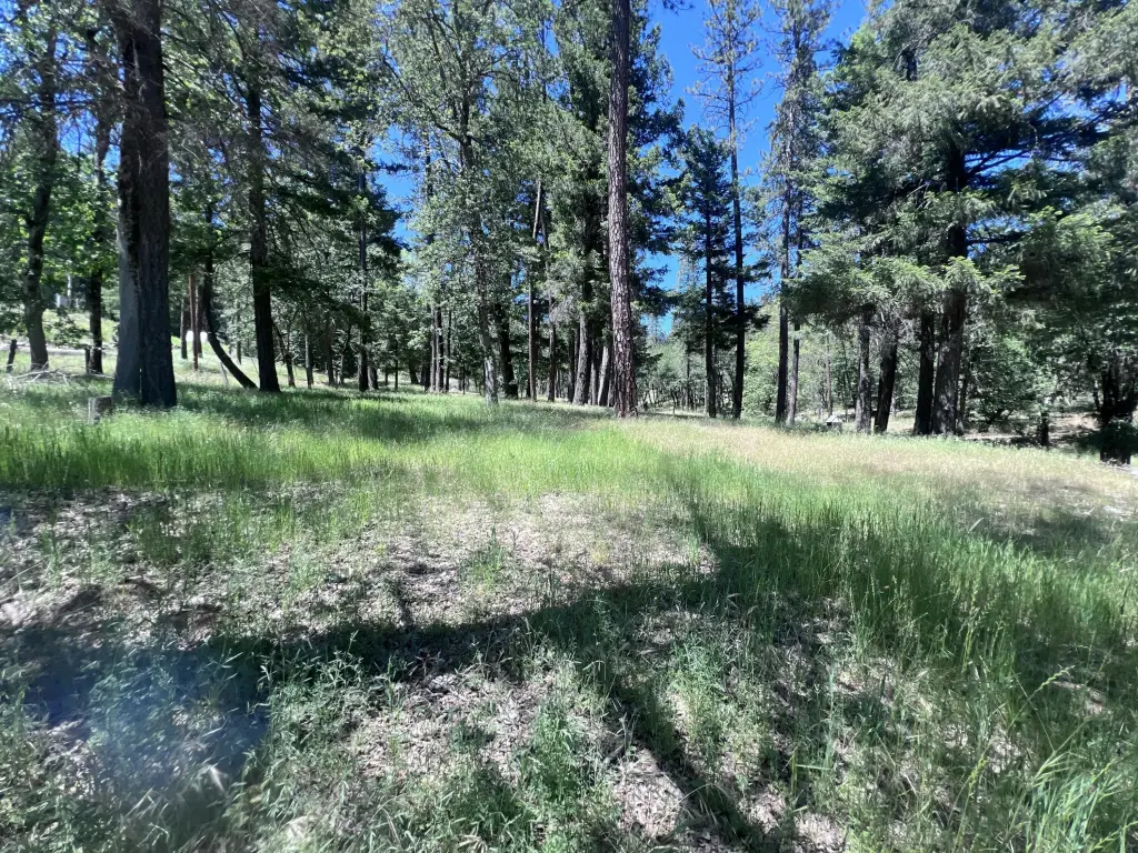 Picture 30