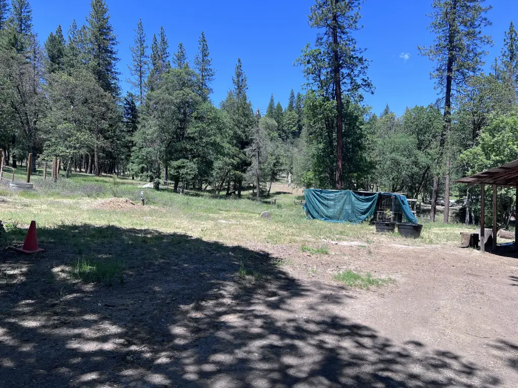 Picture 28