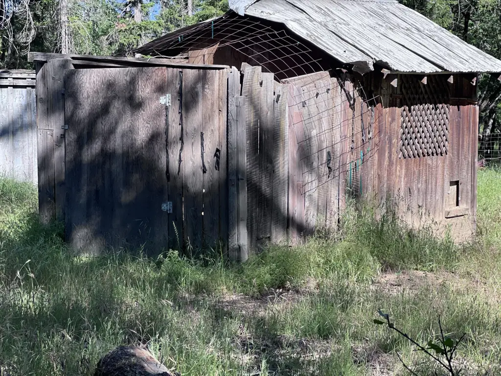 Picture 43