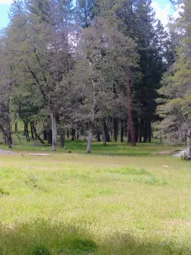 Hayfork Land with Utilities