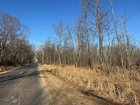 Hunting Land in Marcellus, MI